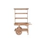 Garden Cart Home ESPRIT Natural 108 x 53 x 167 cm