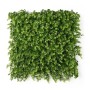 Jardin vertical Ibergarden Plastique Volets 50 x 50 cm 50 x 0,07 x 50 cm
