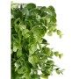 Jardin vertical Ibergarden Plastique Volets 50 x 50 cm 50 x 0,07 x 50 cm