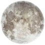 False ceiling Activejet AJE-MOON 24W 24 W 1920 lm (4000 K)