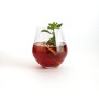 Verre Bohemia Crystal Magnus Transparent verre 500 ml (6 Unités)