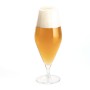 Verre Bohemia Crystal Premiere Universal Transparent verre 630 ml Bière (6 Unités)