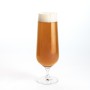 Verre Bohemia Crystal Premiere Universal Transparent verre 380 ml Bière (6 Unités)