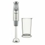 Mixeur plongeant Moulinex DD65AD10