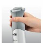 Mixeur plongeant Moulinex DD65AD10