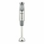 Mixeur plongeant Moulinex DD65AD10