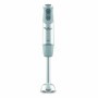 Mixeur plongeant Moulinex DD65AD10