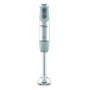 Mixeur plongeant Moulinex DD65AD10