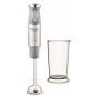 Mixeur plongeant Moulinex DD65AD10