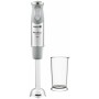 Mixeur plongeant Moulinex DD65AD10