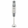 Mixeur plongeant Moulinex DD65AD10