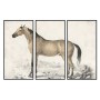 Canvas DKD Home Decor polystyrene Canvas 180 x 4 x 120 cm 120 x 4 x 60 cm (3 Pieces)