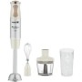 Mixeur plongeant Moulinex DD655A10