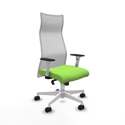 Office Chair Piqueras y Crespo B1B026N Pistachio