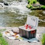 Mini Fridge Adler AD 8090 40 L
