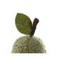 Door stop Home ESPRIT 12 x 12 x 23 cm (2 Units)