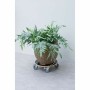 Flowerpot Standt with Wheels Nature Wood Ø 38 cm