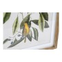 Painting DKD Home Decor Bird Crystal Fir 55 x 2,5 x 70 cm (4 Pieces)