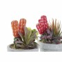 Decorative Plant DKD Home Decor Red Grey Orange EVA PE (16 x 12,5 x 19,5 cm) (2 Units)