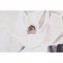 Canvas DKD Home Decor polystyrene Canvas 80 x 3,5 x 80 cm
