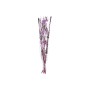 Bunch DKD Home Decor Pink Lilac White Dried flower (30 x 30 x 100 cm) (2 Units)