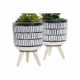 Plante décorative DKD Home Decor Céramique Noir Polyéthylène Blanc Vert (7 x 7 x 19 cm) (2 Unités)