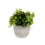 Decorative Plant Ibergarden QY-H021 Plastic Flowers 20 x 20,5 x 20 cm (8 Units)