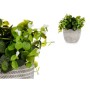 Decorative Plant Ibergarden QY-H021 Plastic Flowers 20 x 20,5 x 20 cm (8 Units)