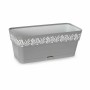 Planter Stefanplast Gaia Grey Plastic 13,3 x 12,3 x 29,3 cm (12 Units)