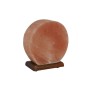 Lampe de bureau Home ESPRIT Marron Rose Sel Bois de manguier 15 W 220 V 16 x 7 x 18 cm