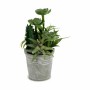 Plante décorative Ibergarden XD18-1182A-B Plastique Ciment 15 x 24 x 15 cm (12 Unités)