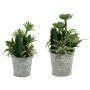 Plante décorative Ibergarden XD18-1182A-B Plastique Ciment 15 x 24 x 15 cm (12 Unités)
