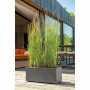 Plant pot Deroma Anthracite