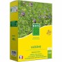 Seeds BHS Luzerne