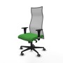 Chaise de Bureau Albacete Piqueras y Crespo B1C036G Vert