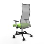 Chaise de Bureau Albacete Piqueras y Crespo B1B036N Pistache