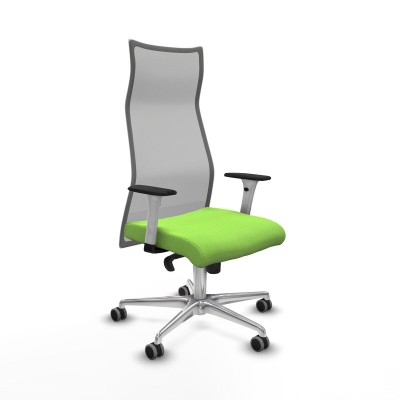 Chaise de Bureau Albacete Piqueras y Crespo B1B086G Pistache