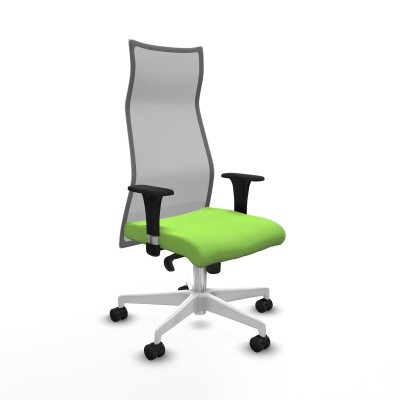 Chaise de Bureau Albacete Piqueras y Crespo B1C026N Pistache