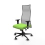 Office Chair Albacete Piqueras y Crespo B1C036G Pistachio