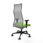 Chaise de Bureau Albacete Piqueras y Crespo B1C036G Pistache