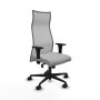 Chaise de Bureau Albacete Piqueras y Crespo B1C036N Gris clair