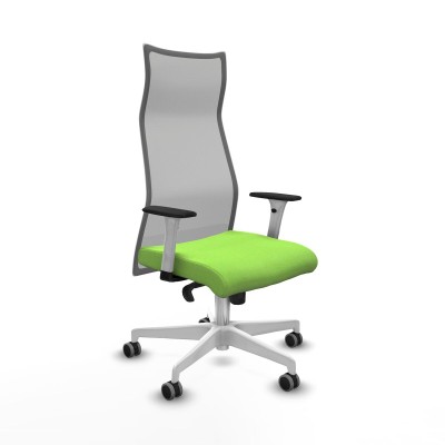 Office Chair Albacete Piqueras y Crespo B1B026G Pistachio