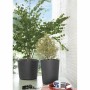 Plant pot Deroma Millennium Anthracite Plastic 59 x 59 x 49,5 cm