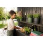 Set de pots Elho Noir Plastique Rond 2 Pièces