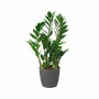 Set of pots Elho Grey Plastic Circular 2 Pieces