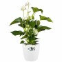 Set de pots Elho Blanc Plastique Rond 2 Pièces