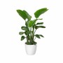 Set de pots Elho Blanc Plastique Rond 2 Pièces