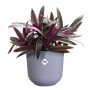 Plant pot Elho Jazz White Lilac Plastic Circular 3 Pieces