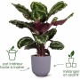 Plant pot Elho Jazz White Lilac Plastic Circular 3 Pieces