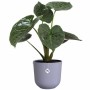 Plant pot Elho Jazz White Lilac Plastic Circular 3 Pieces